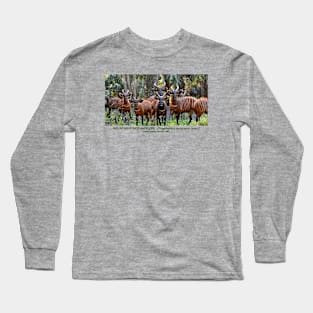 Mountain Bongo Antelope Long Sleeve T-Shirt